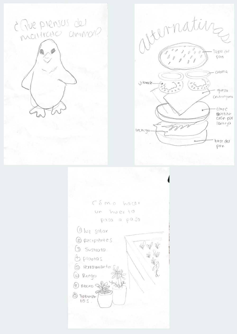 Hoja con diversos bocetos, destaca el dibujo de un pingüino con la frase ¿Qué piensas del maltrato animal?